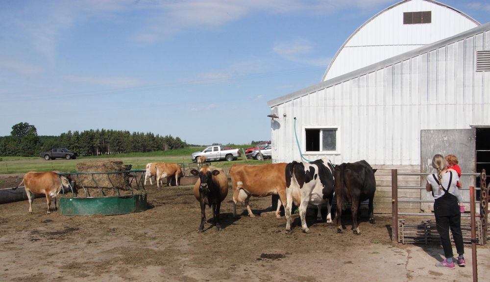 Barron County Dairy Breakfast